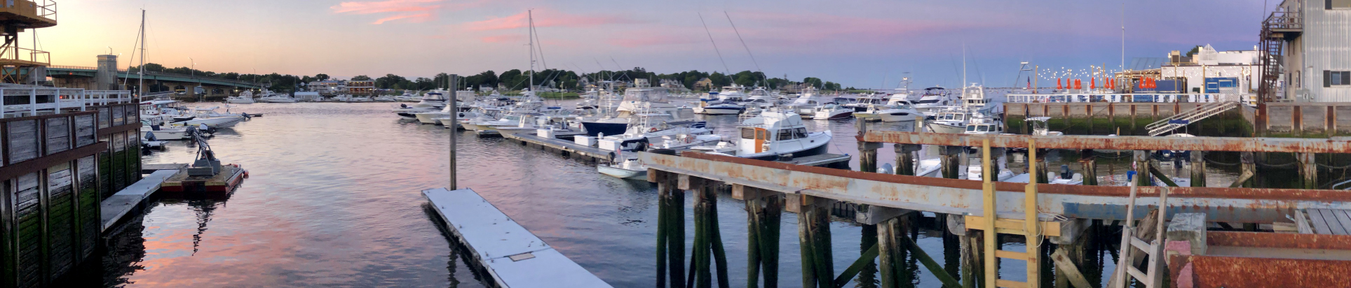 View from the Pier