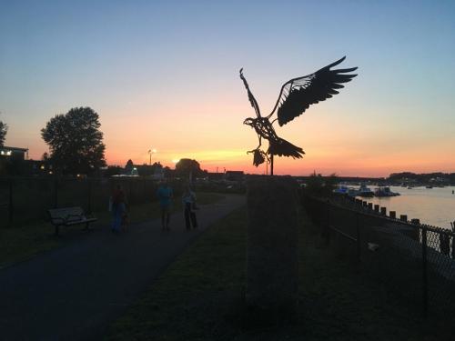 osprey sunset