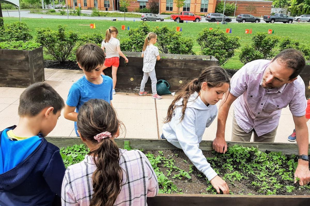 A teacher shows his young students how to weed in a raised bed garden