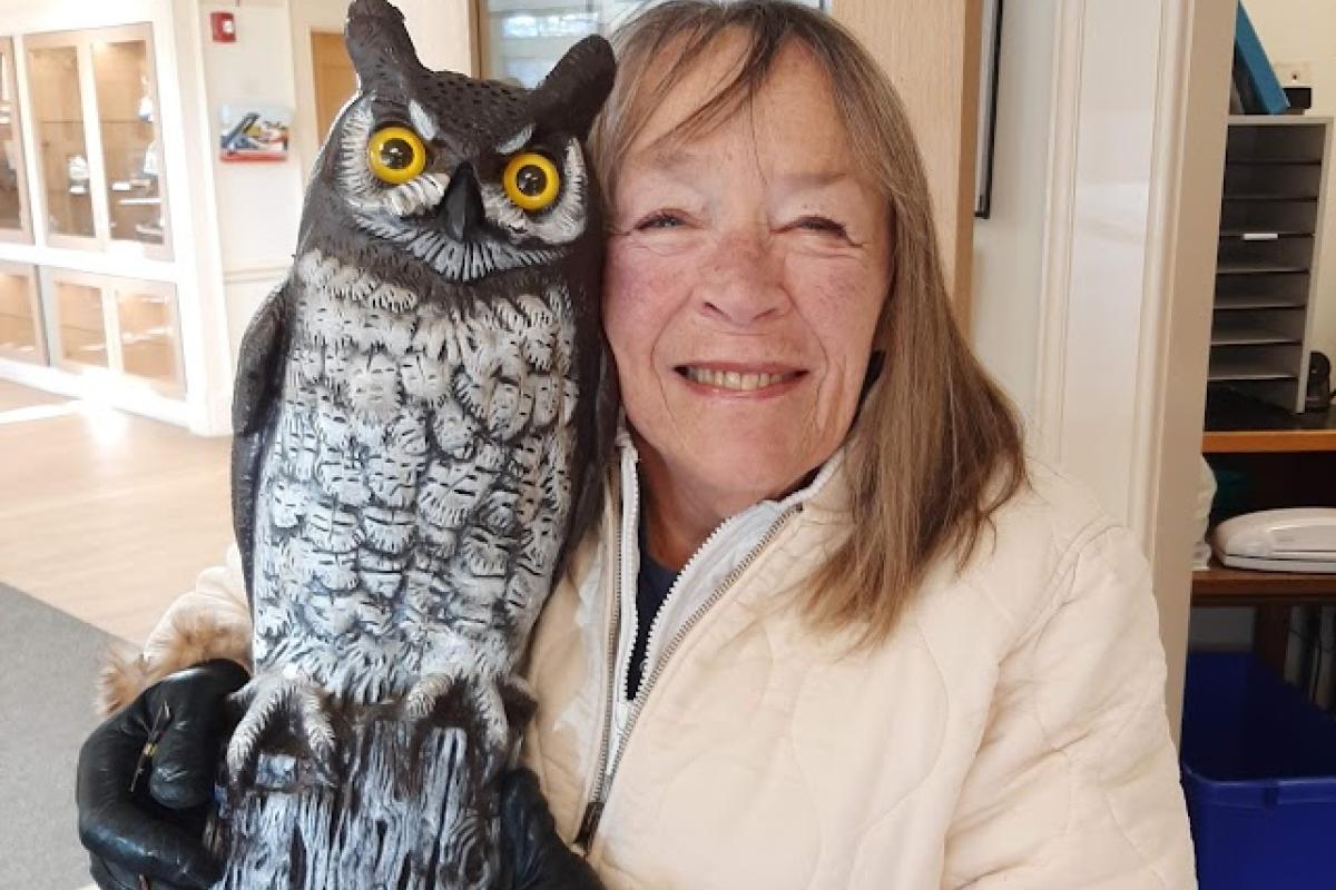 A woman holds up a decoy owl