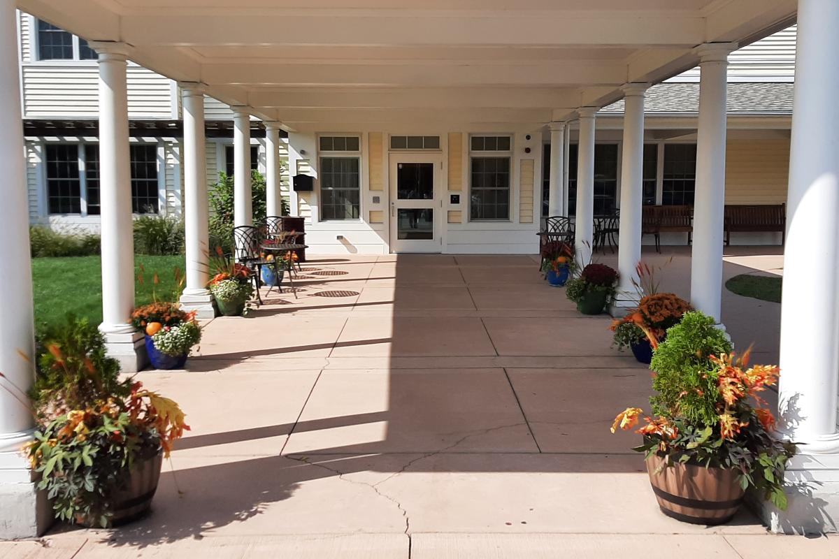 Entrance to a building with a row of columns is lined with planters containing fall flowers and decorations