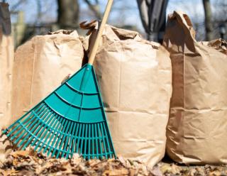 Bagged Leaf Collection on Saturday, November 5th