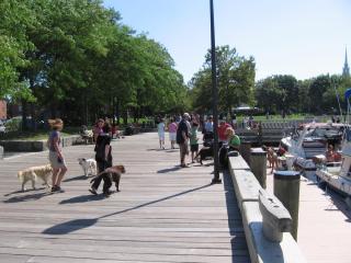boardwalk