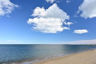 Beach Picture