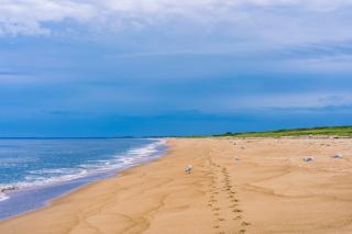 Plum Island 