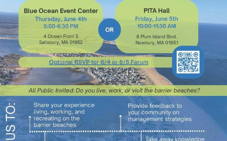 beach forum