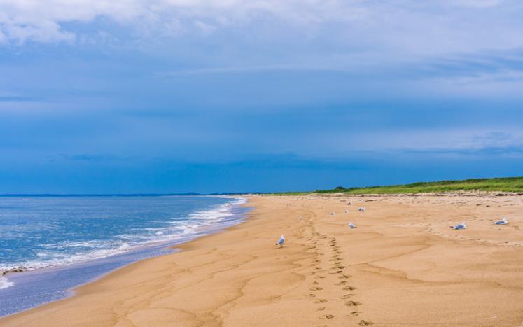 Plum Island