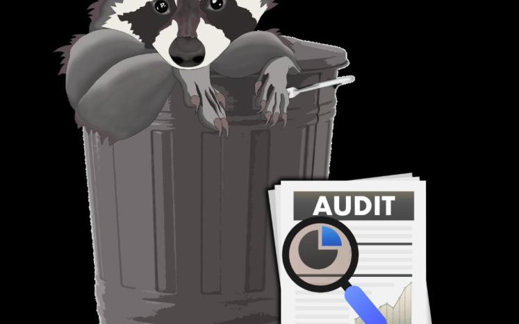trash audit